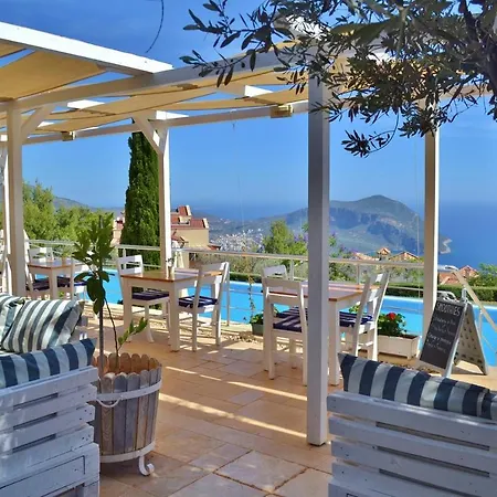 Safak, Lavanta, Kalkan
