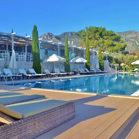 Safak, Lavanta, Kalkan